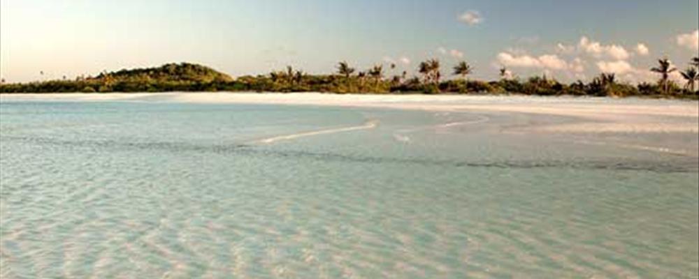 visit our favourite chic desert island